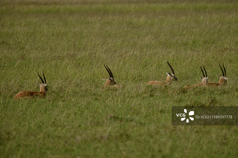 一路潜行图片素材