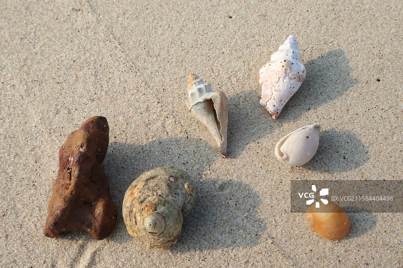 海滩沙子上的贝壳与海螺旅行海洋氛围感特写图片素材