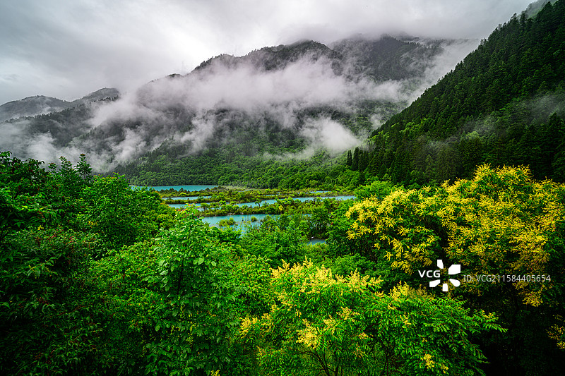 黄龙景区 云雾缭绕图片素材