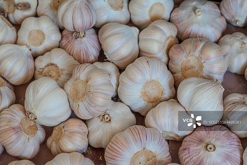 堆积的白色大蒜图片素材