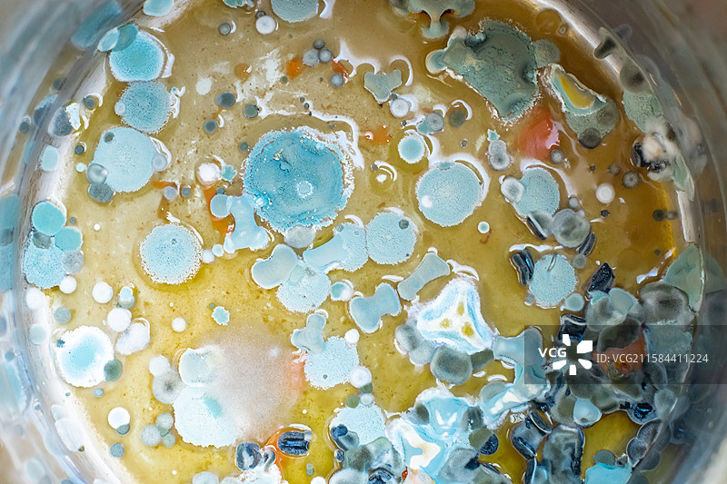 中国不锈钢盆子正在腐败长毛变质彩色腐烂的食物，发霉细菌病毒黄曲霉素彩色致癌症物样本，室内无人图像摄影图片素材