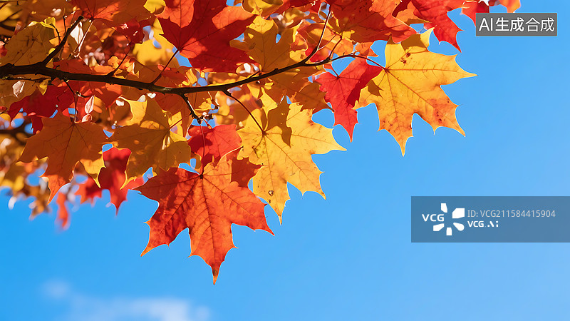 【AI数字艺术】秋天梧桐树枫叶红色香山红叶图片素材