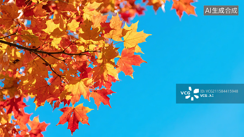 【AI数字艺术】秋天梧桐树枫叶红色香山红叶图片素材