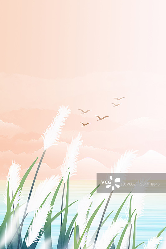 中国风二十四节气系列插画-秋天 秋日户外风景 风吹白色芦苇荡山水画 国风山水意境 竖版图片素材