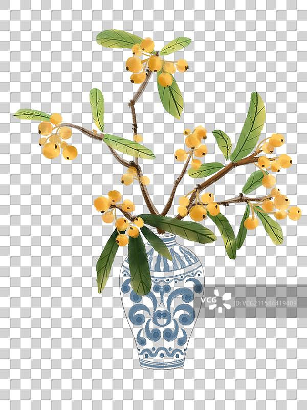 古风水墨青花瓷盆栽枇杷图片素材