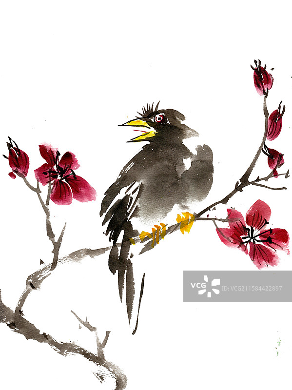 红花与小鸟图片素材