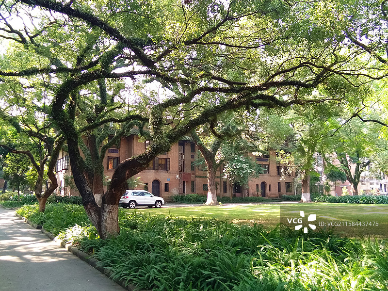广州中山大学图片素材