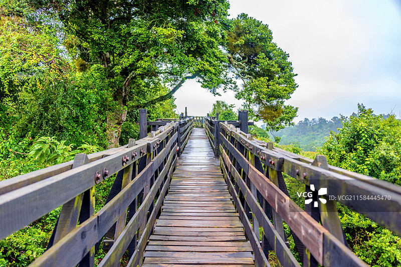非洲肯尼亚阿伯德尔新树顶ARK酒店图片素材
