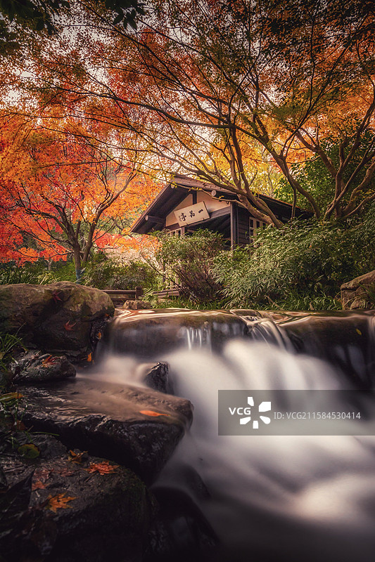 杭州秋色：落叶、流水、红枫图片素材