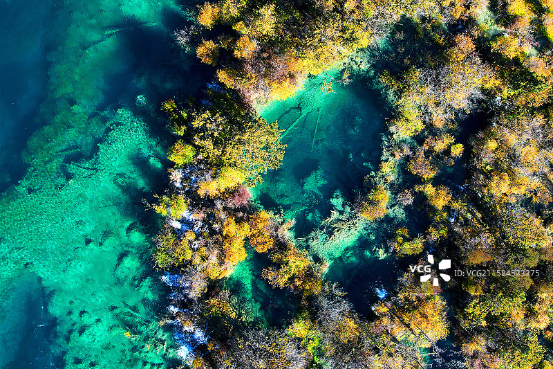 航拍九寨沟秋季美丽的高山湖泊图片素材