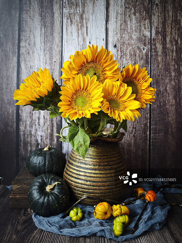 静物：油画风.秋韵.秋实（向日葵与南瓜）图片素材