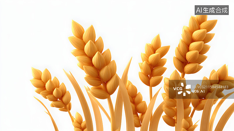 【AI数字艺术】金黄麦穗在白色背景中图片素材