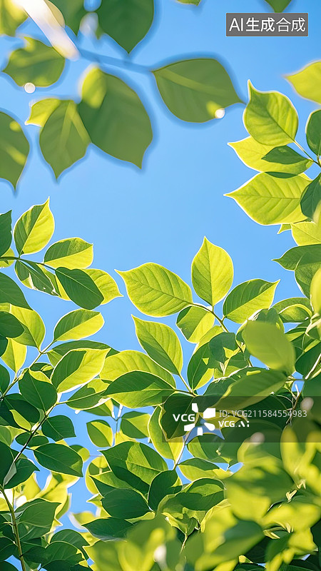 【AI数字艺术】仰拍晴空治愈的天空树叶蓝天插画背景配图图片素材