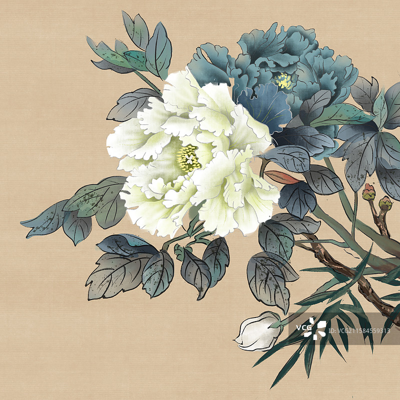 国画牡丹工笔图片素材