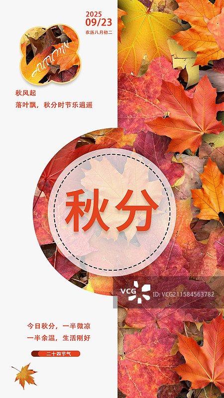 秋分节气海报图片素材