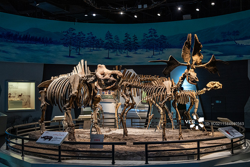 江苏江宁汤山方山国家地质公园博物馆暨南京直立人化石博物馆古生物化石图片素材