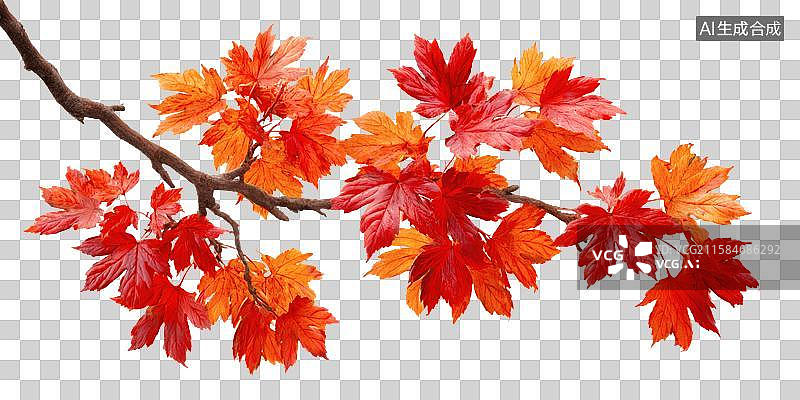 【AI数字艺术】秋日红枫叶树枝特写图片素材