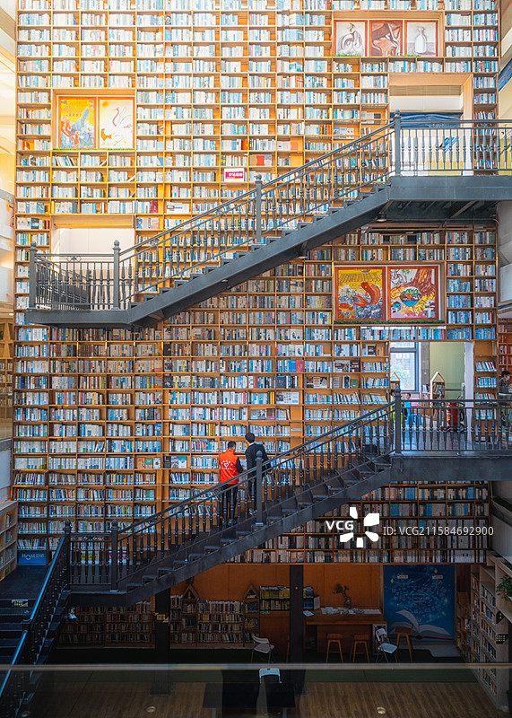 志愿者在图书馆中图片素材