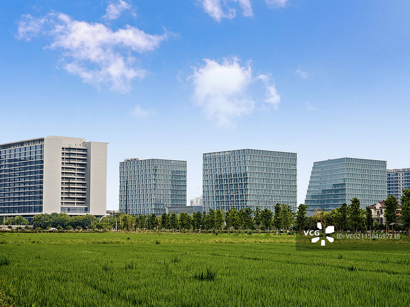 上海青浦和睦村稻田前景下的上海青浦网易园区大楼（网易上海国际文创科技园）图片素材