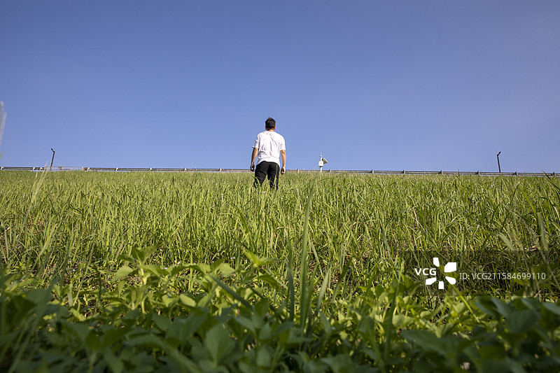 站在草地上的人的后视图图片素材