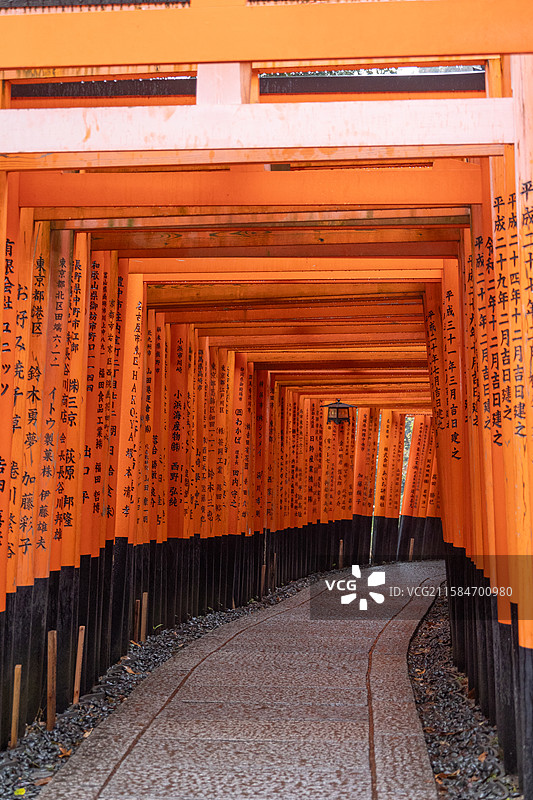 伏见稻荷大社千本鸟居图片素材