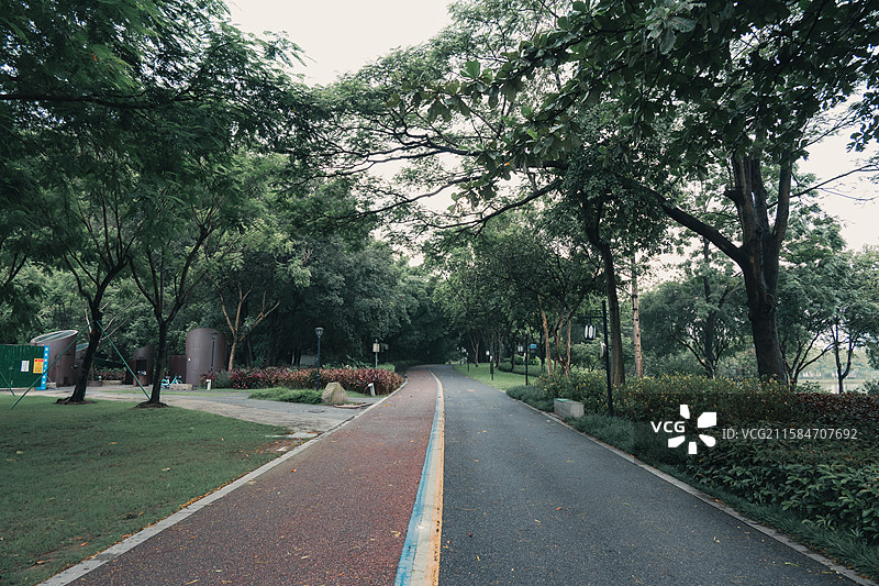 国风调色·烟雨中的顺峰山公园图片素材