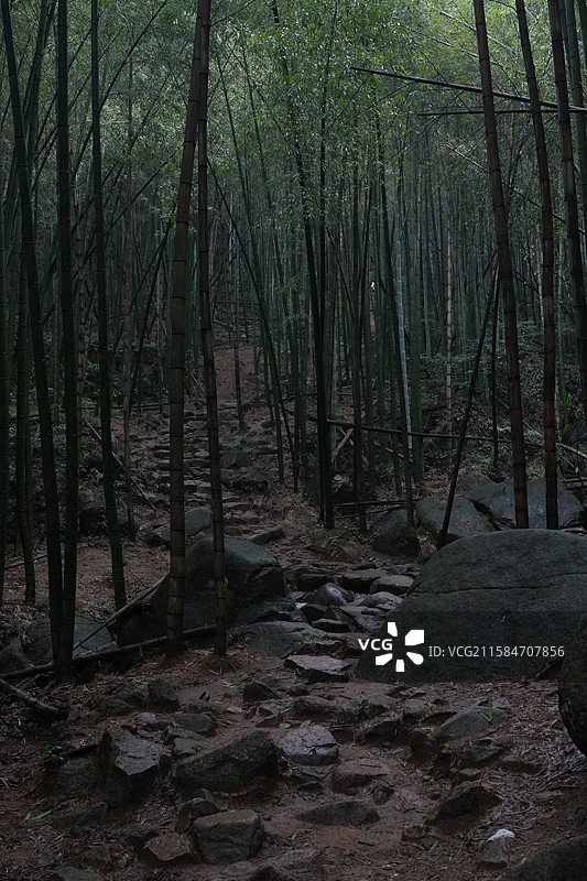 湖州 德清 莫干山 野外 探险 徒步旅行 背影 走路图片素材