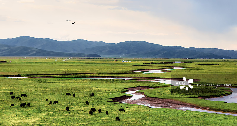 湿地密钥---玛曲阿万仓图片素材