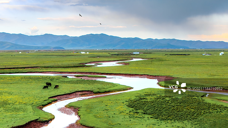 湿地密钥---玛曲阿万仓图片素材