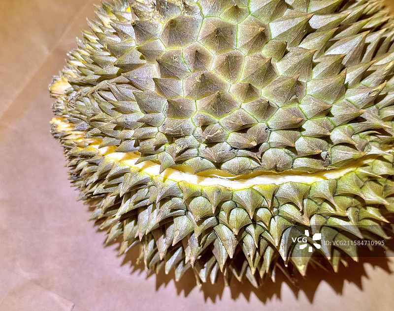 干包榴莲肉热带水果金枕榴莲图片素材