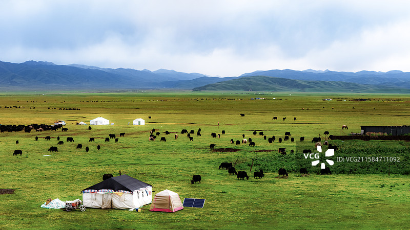 湿地密钥---玛曲阿万仓图片素材