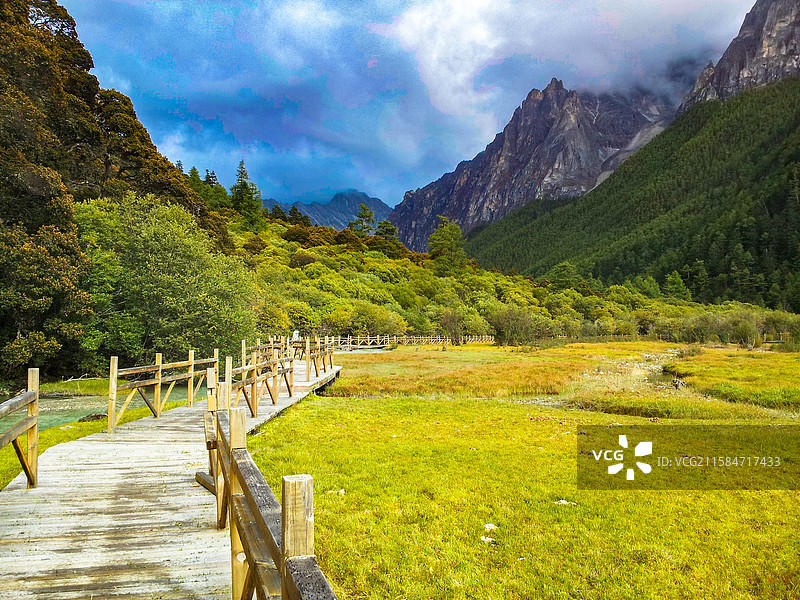 通往秘境之路图片素材