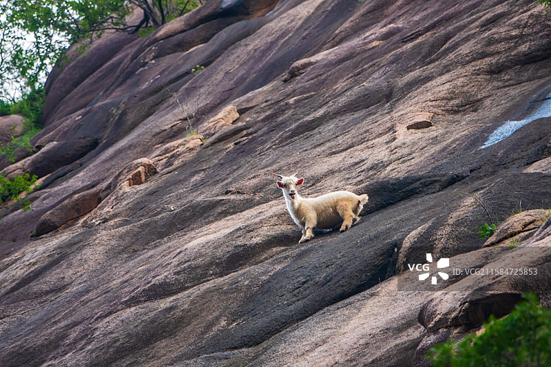 野三坡龙门天关景区—摩崖石刻风光图片素材