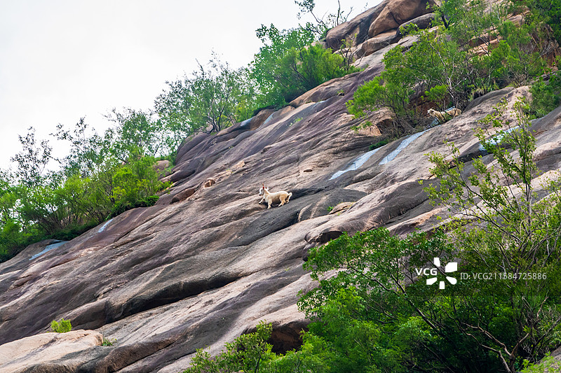野三坡龙门天关景区—摩崖石刻风光图片素材