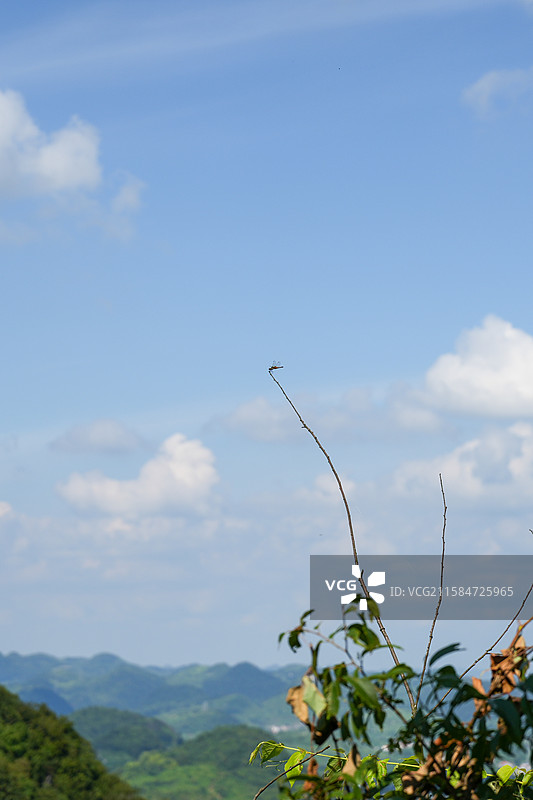 云鹫山云峰屯堡早有蜻蜓立上头图片素材