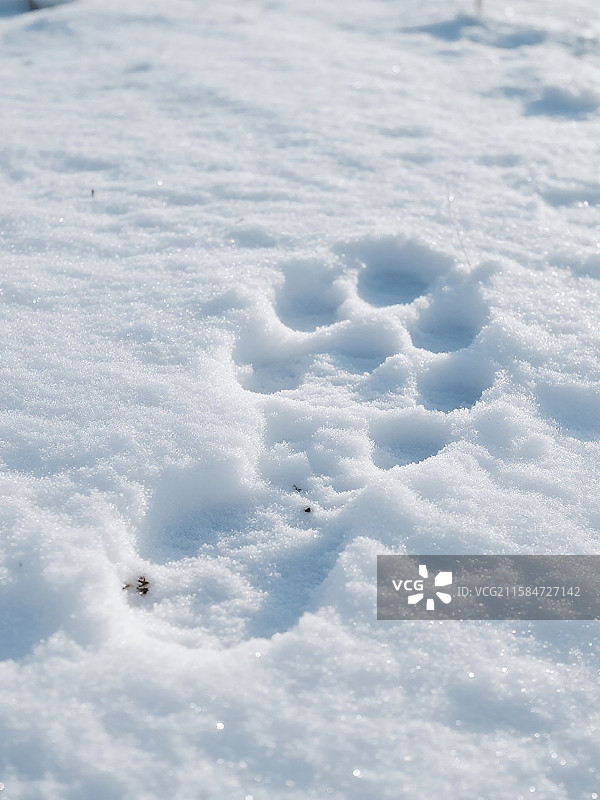 冬天雪地上的脚印鞋印图片素材