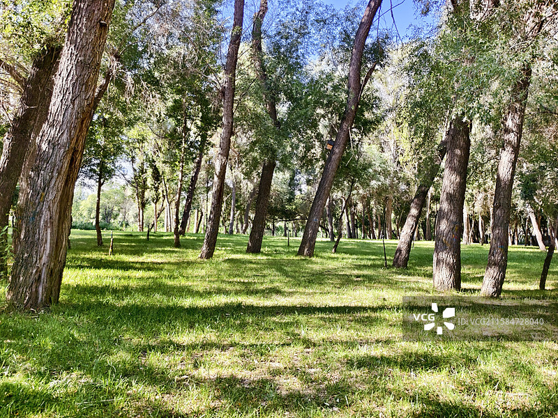 新疆伊宁伊犁河旅游风景区风光图片素材