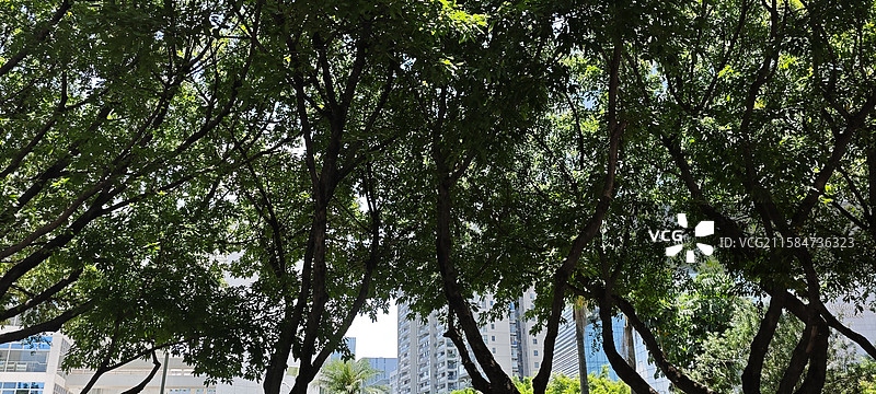 深圳南山街景图片素材