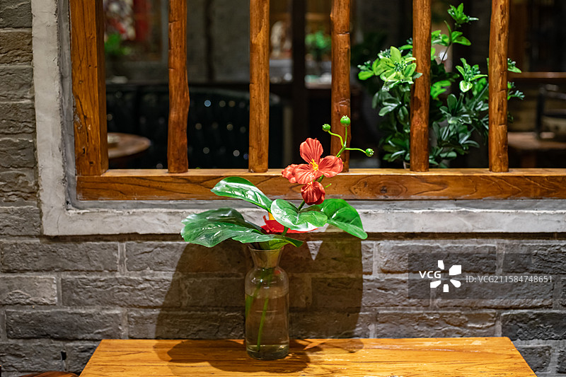 中国野生植物和野外植物拍摄主题，一株玫红色的花烛盆栽植物，室内无人图像摄影图片素材