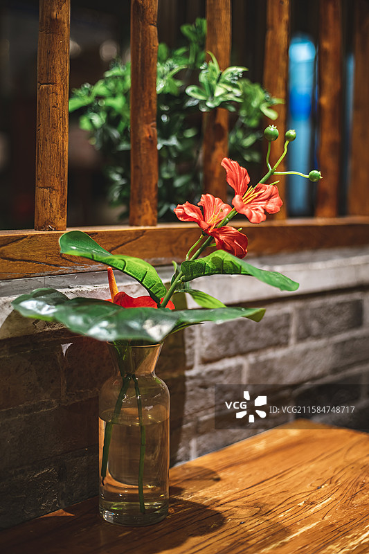 中国野生植物和野外植物拍摄主题，一株玫红色的花烛盆栽植物，室内无人图像摄影图片素材