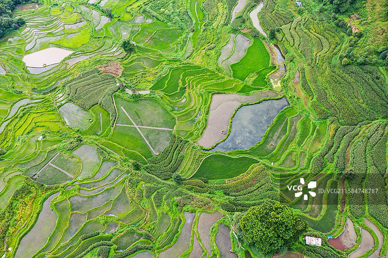 云南元阳箐口梯田景区航拍风光图片素材