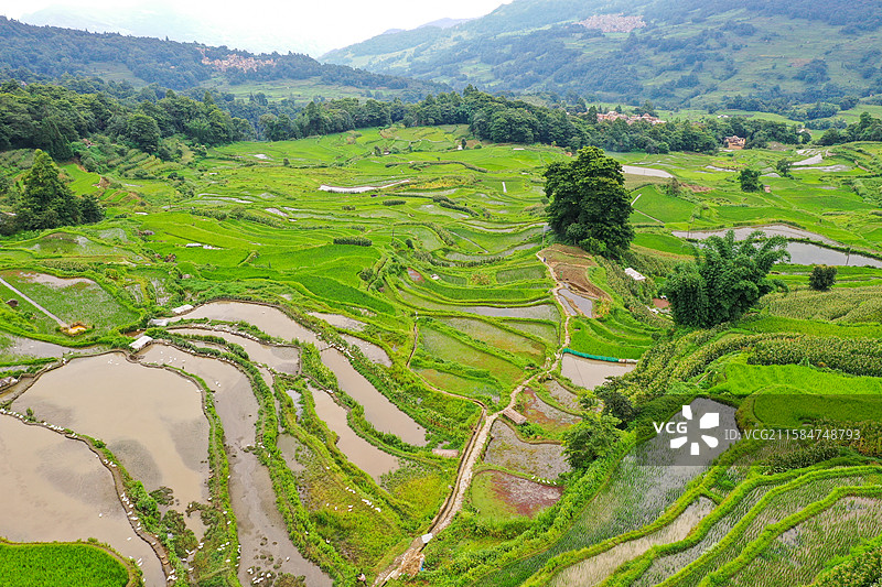 云南元阳箐口梯田景区航拍风光图片素材