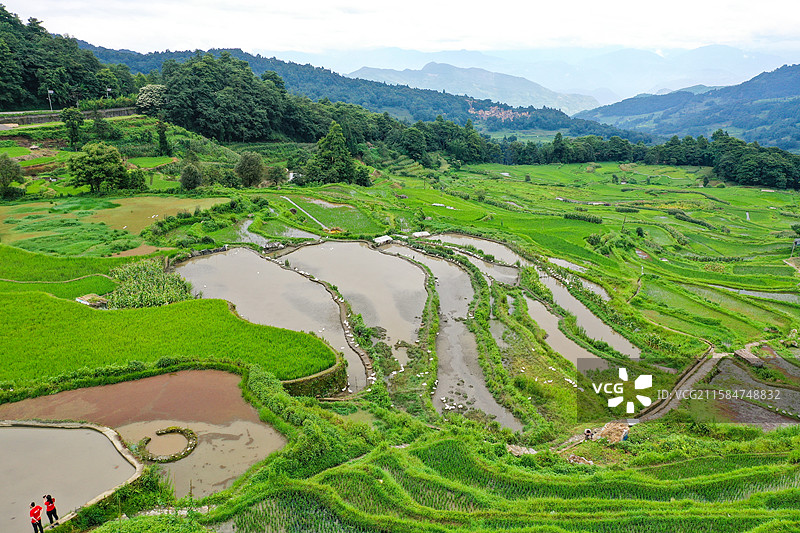 云南元阳箐口梯田景区航拍风光图片素材