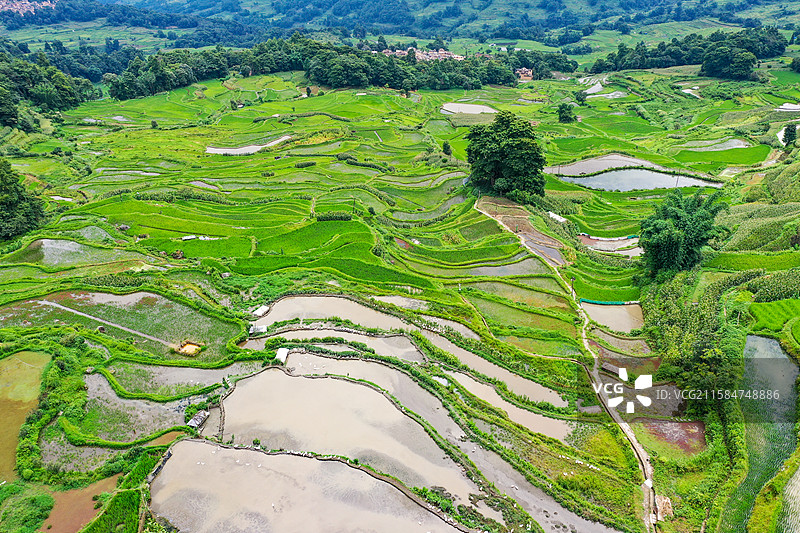 云南元阳箐口梯田景区航拍风光图片素材