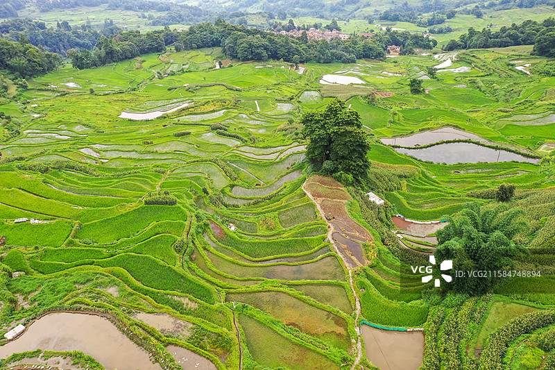 云南元阳箐口梯田景区航拍风光图片素材