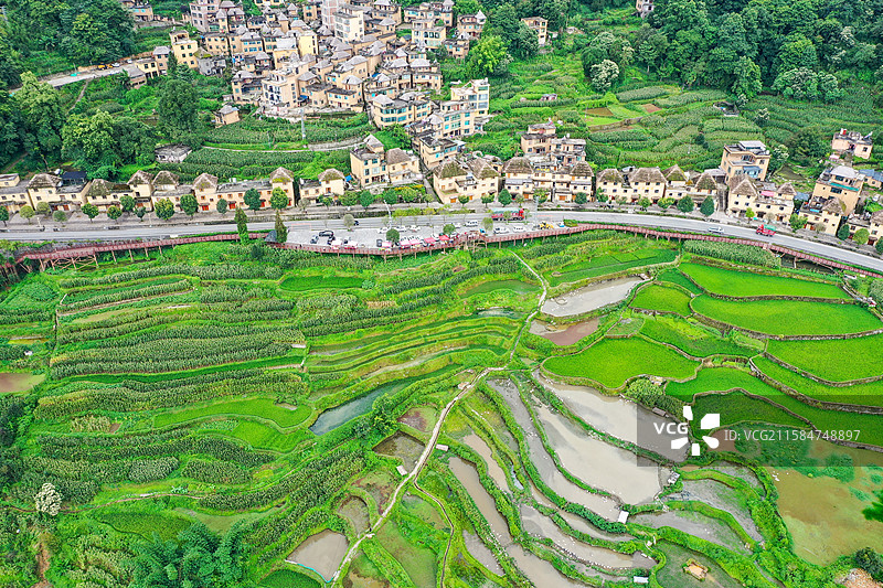 云南元阳箐口梯田景区航拍风光图片素材