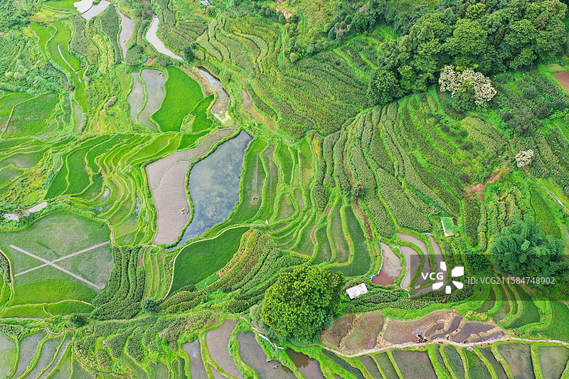 云南元阳箐口梯田景区航拍风光图片素材