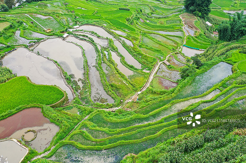 云南元阳箐口梯田景区航拍风光图片素材