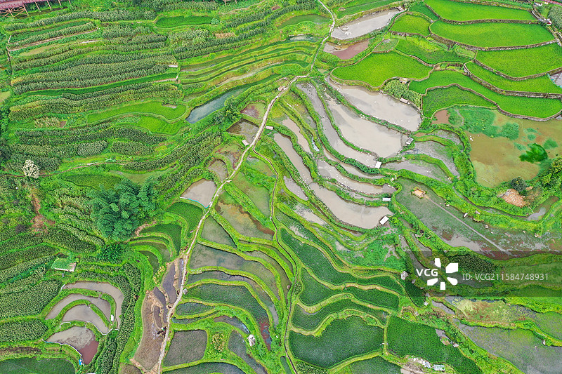 云南元阳箐口梯田景区航拍风光图片素材