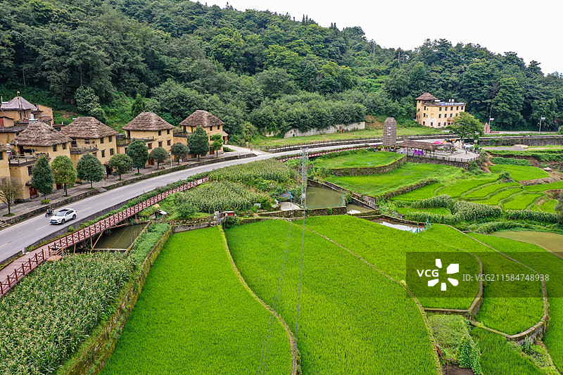 云南元阳箐口梯田蘑菇屋航拍风光图片素材